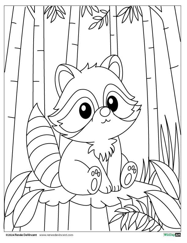 Cute raccoon sitting in a bamboo forest.