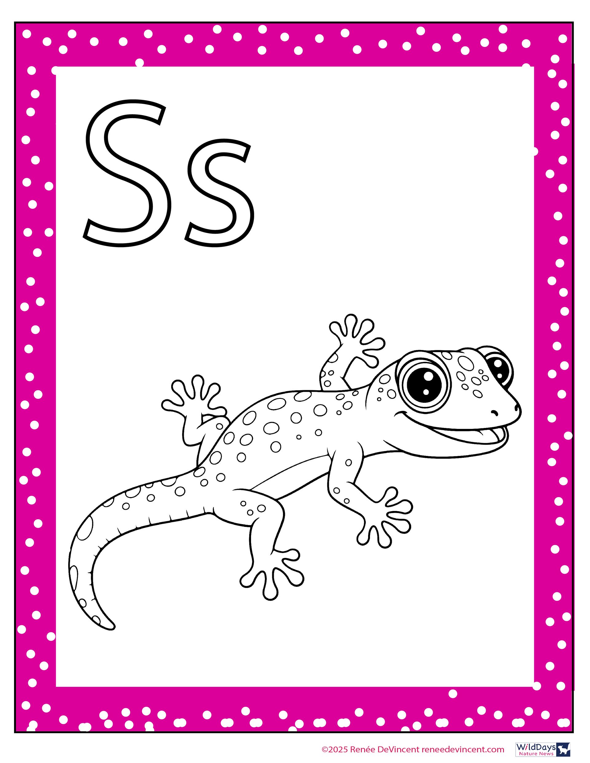 A gecko and the letter 