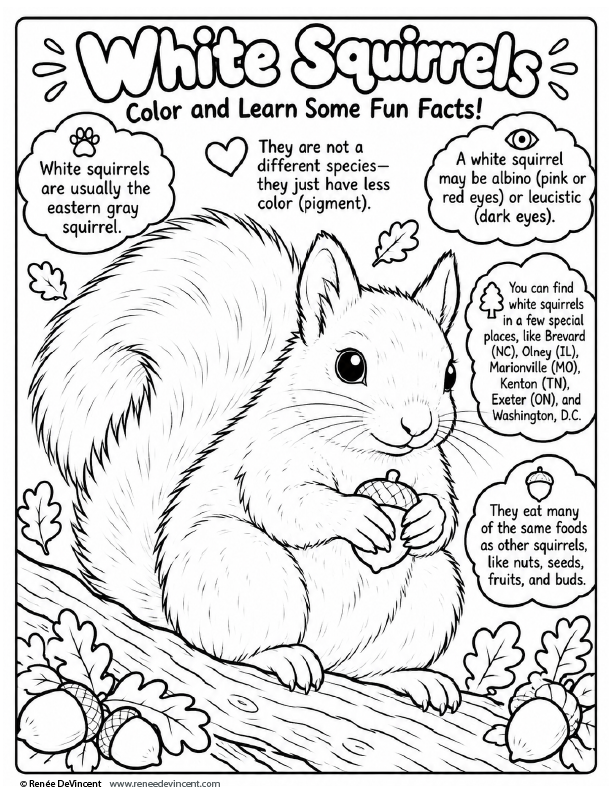 Black-and-white worksheet about white squirrels, with a cartoon squirrel and fact bubbles.