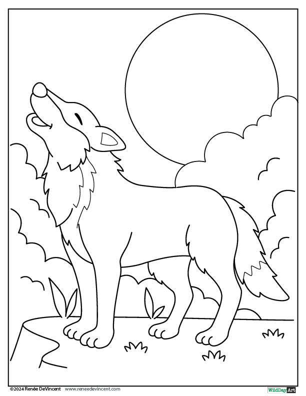 Wolf howling at the full moon in a night scene with clouds.