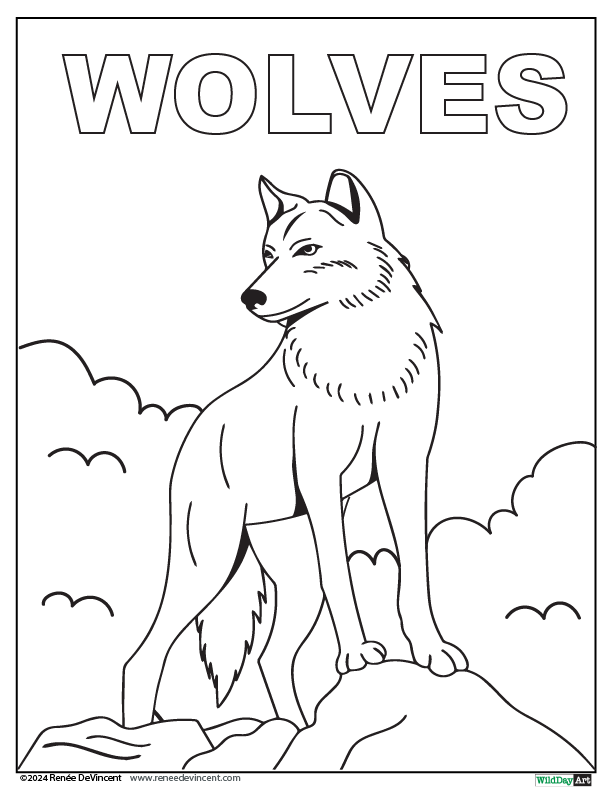 Coloring page: wolf standing on a rock, 
