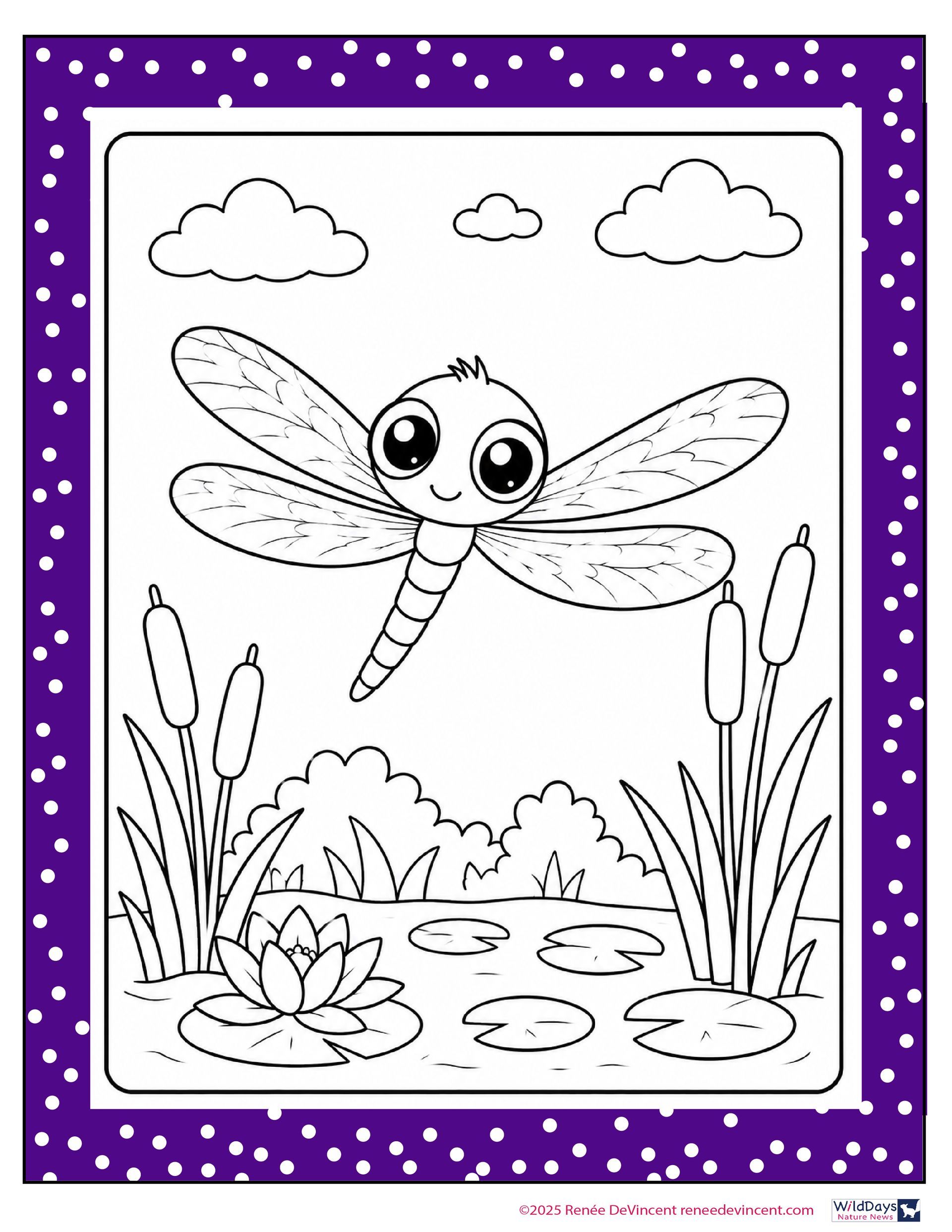 Cartoon dragonfly over a pond with clouds, reeds, lily pads, and a purple border.