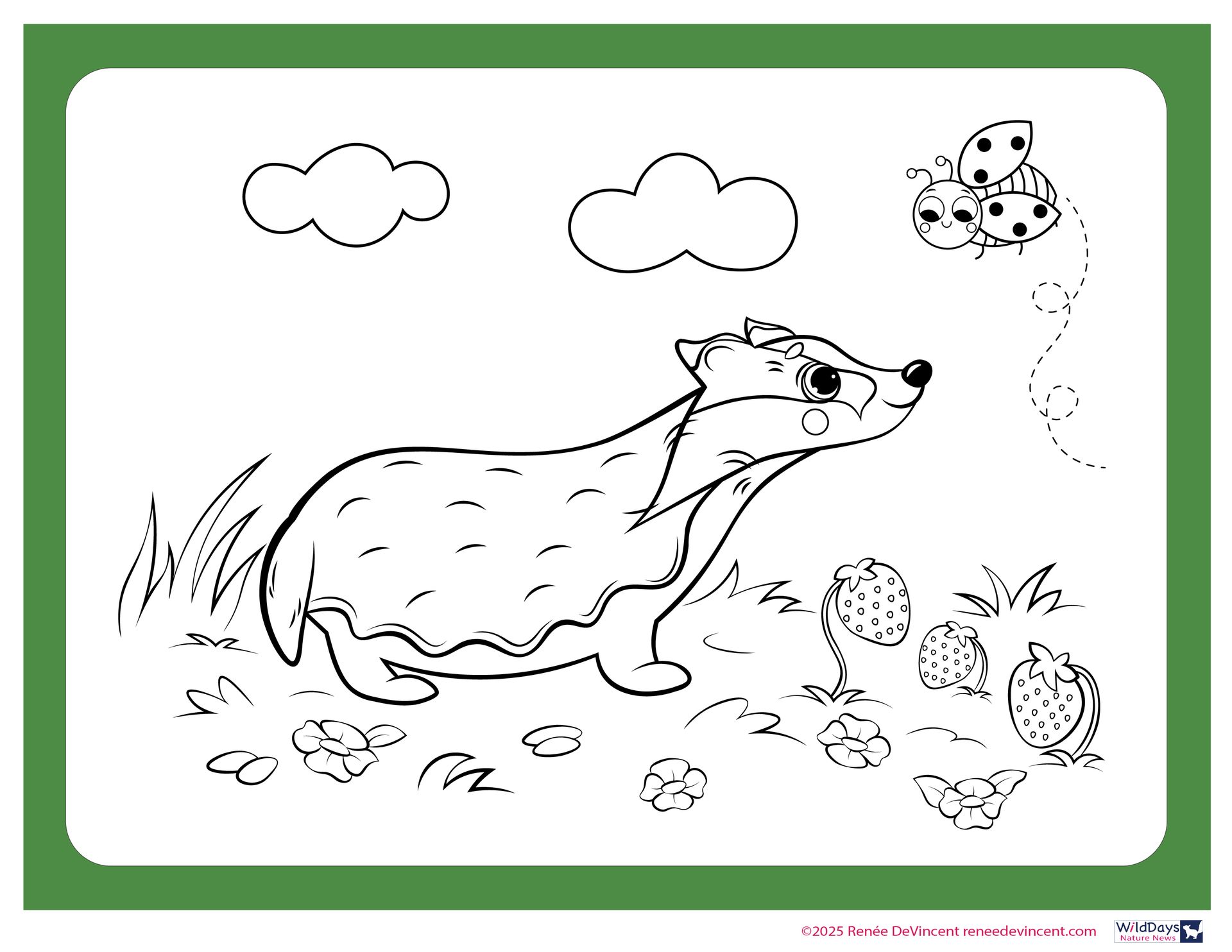 Badger in a field, looking up at ladybugs in the sky. Flowers and clouds are also shown.