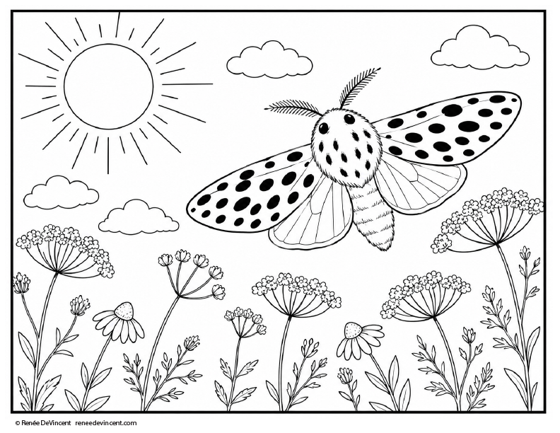 Coloring Page-Leopard Moth with spotted wings over wildflowers in a sunny sky with clouds