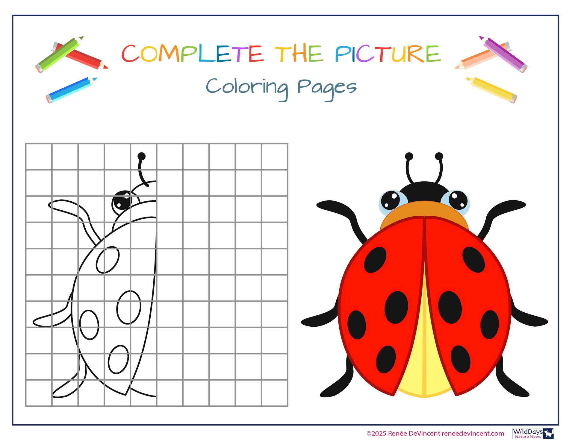 Ladybug half-drawing coloring page: Complete the missing half by copying the completed ladybug.