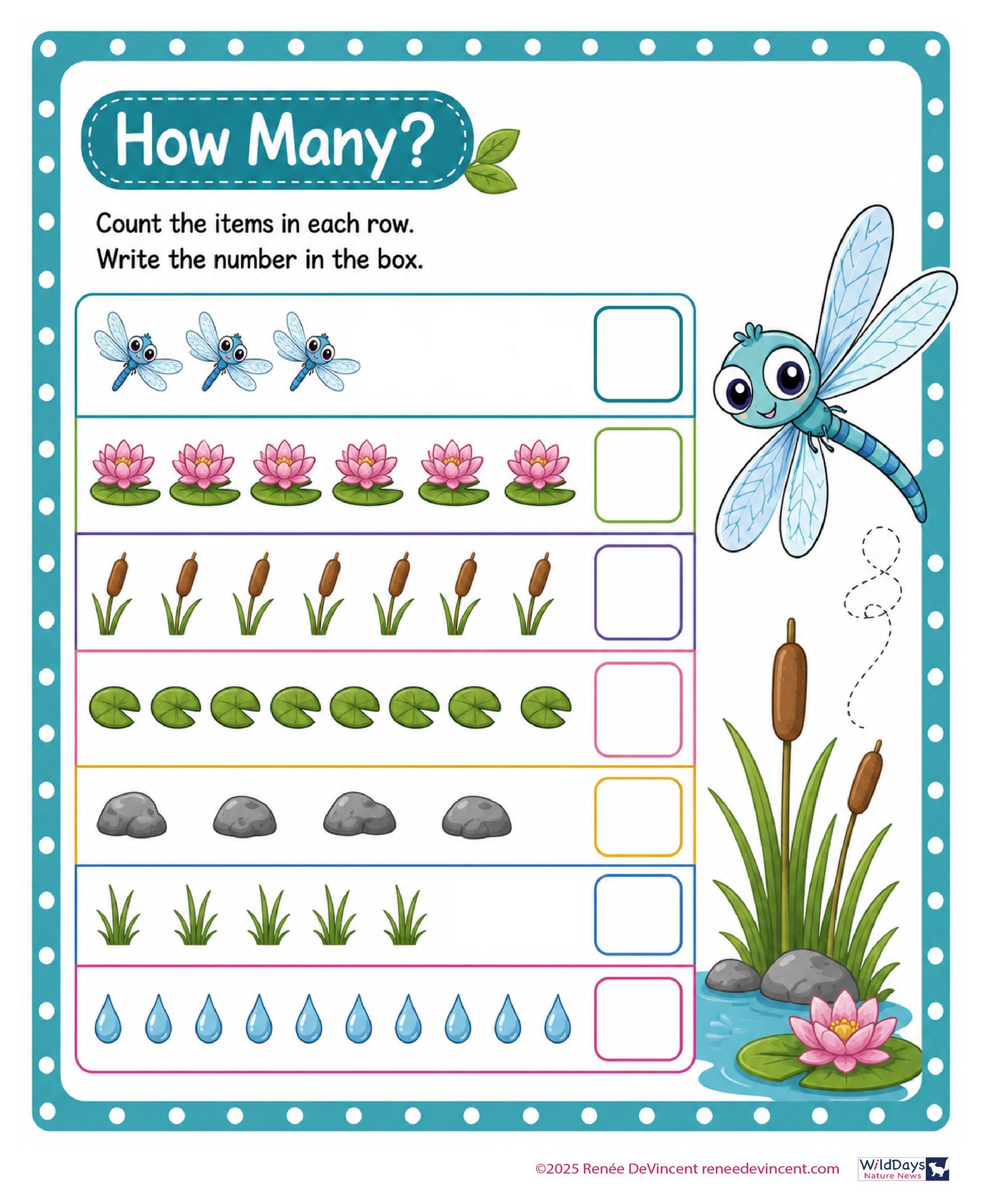 “How Many?” counting worksheet with rows of dragonflies, flowers, reeds, lily pads, rocks, grass, and raindrops.