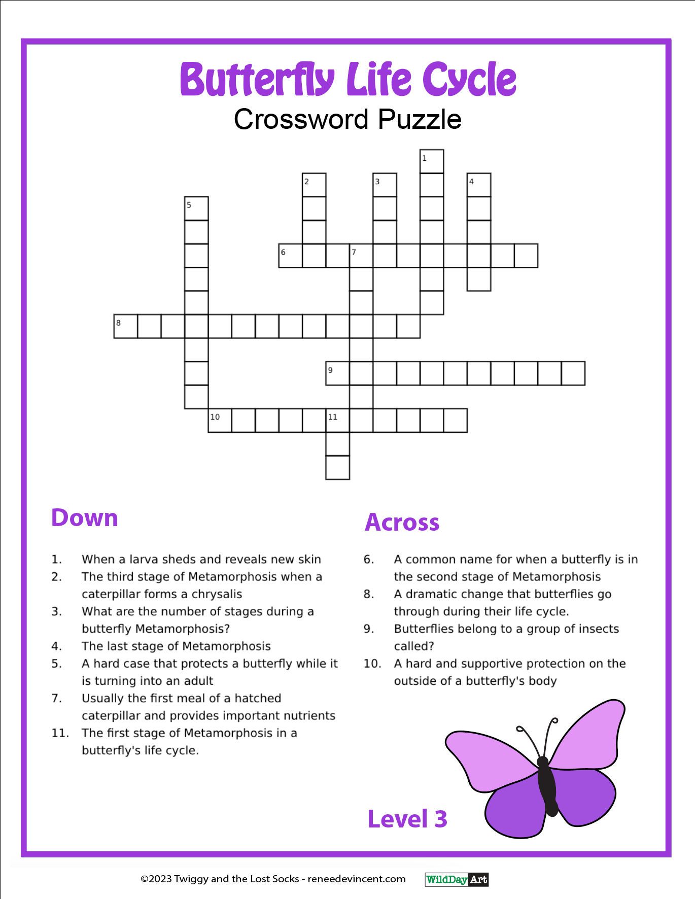 Butterfly life cycle crossword puzzle worksheet with purple title and butterfly graphic