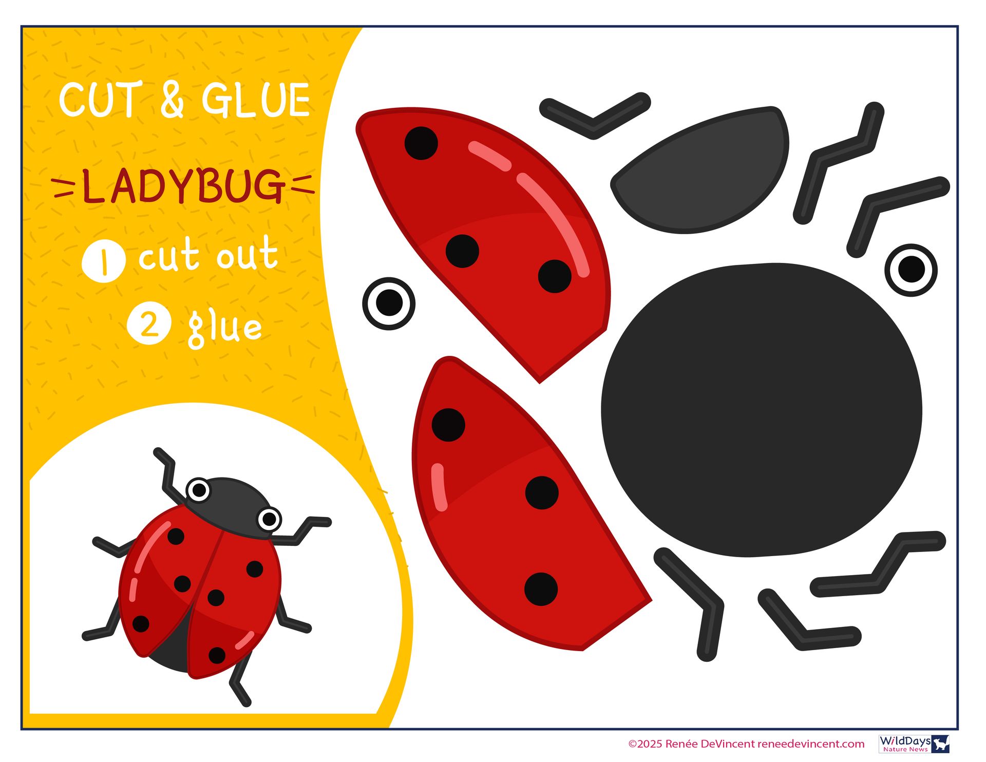 Cut-and-glue ladybug craft: Instructions, a ladybug illustration, and cut-out pieces.