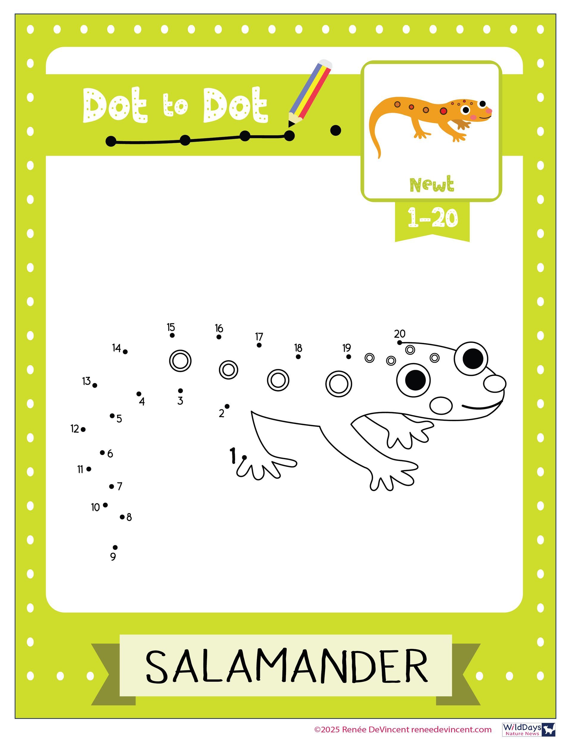 Dot-to-dot puzzle of a salamander, numbered 1-20. The worksheet is green.