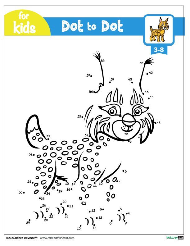 Dot-to-dot puzzle for kids, featuring a cartoon lynx. Includes numbers 1 to 42 for connecting the dots.