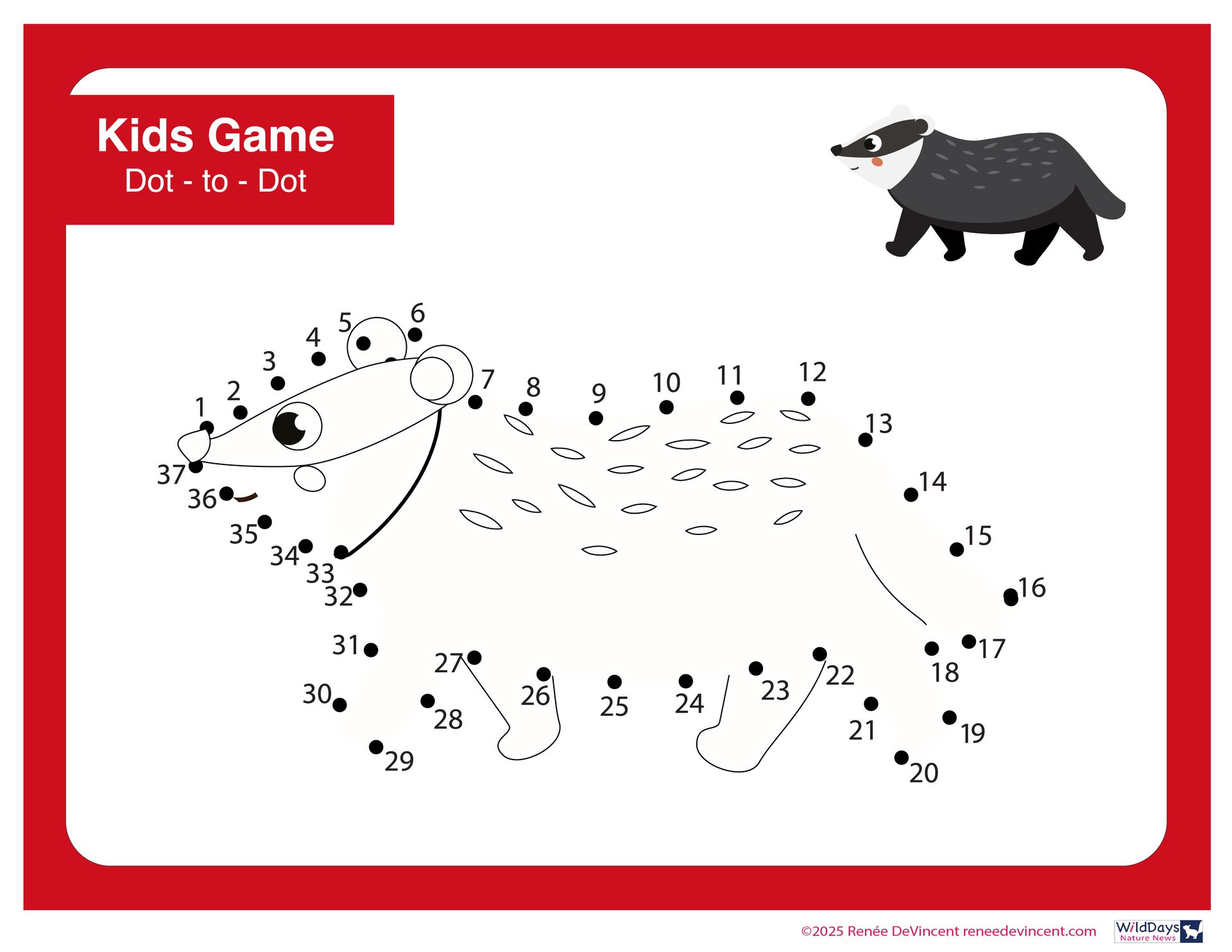 Dot-to-dot game of a badger with numbered dots, red border, and a finished badger image.