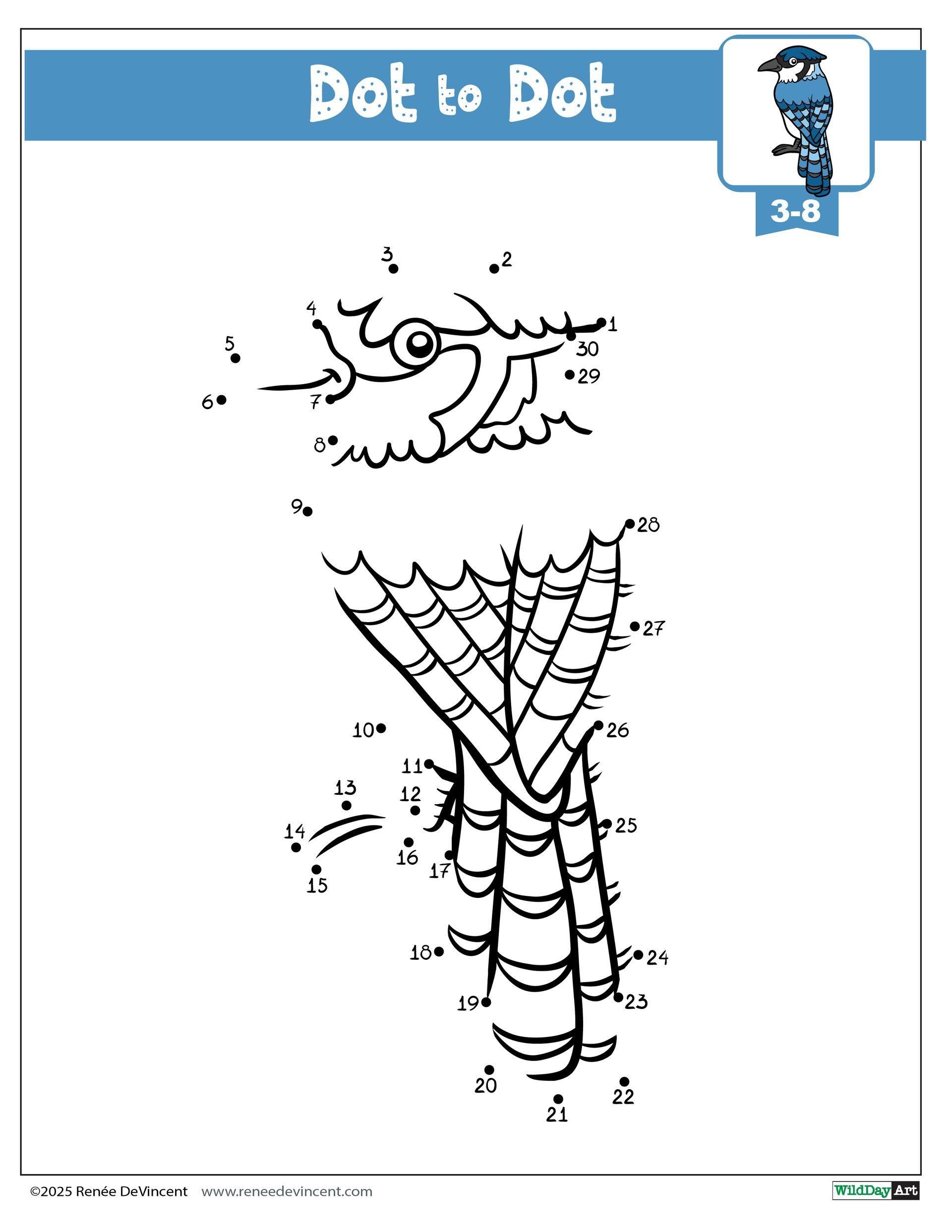 Dot-to-dot puzzle of a blue jay bird. Connect numbered dots to reveal the bird’s silhouette and feather details.