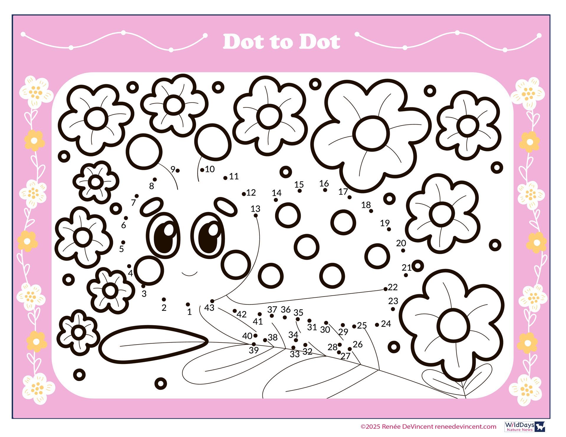 Dot-to-dot puzzle of a cartoon bunny with flowers. Pink frame and background.