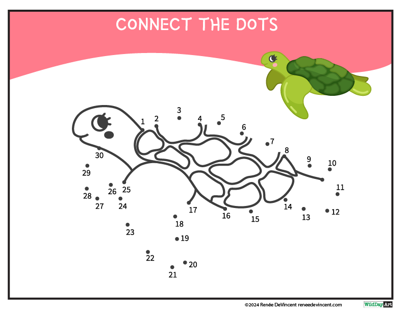 Dot-to-dot puzzle of a turtle; connects dots numbered 1-31 to reveal its shape.  A colored turtle is shown at top right.