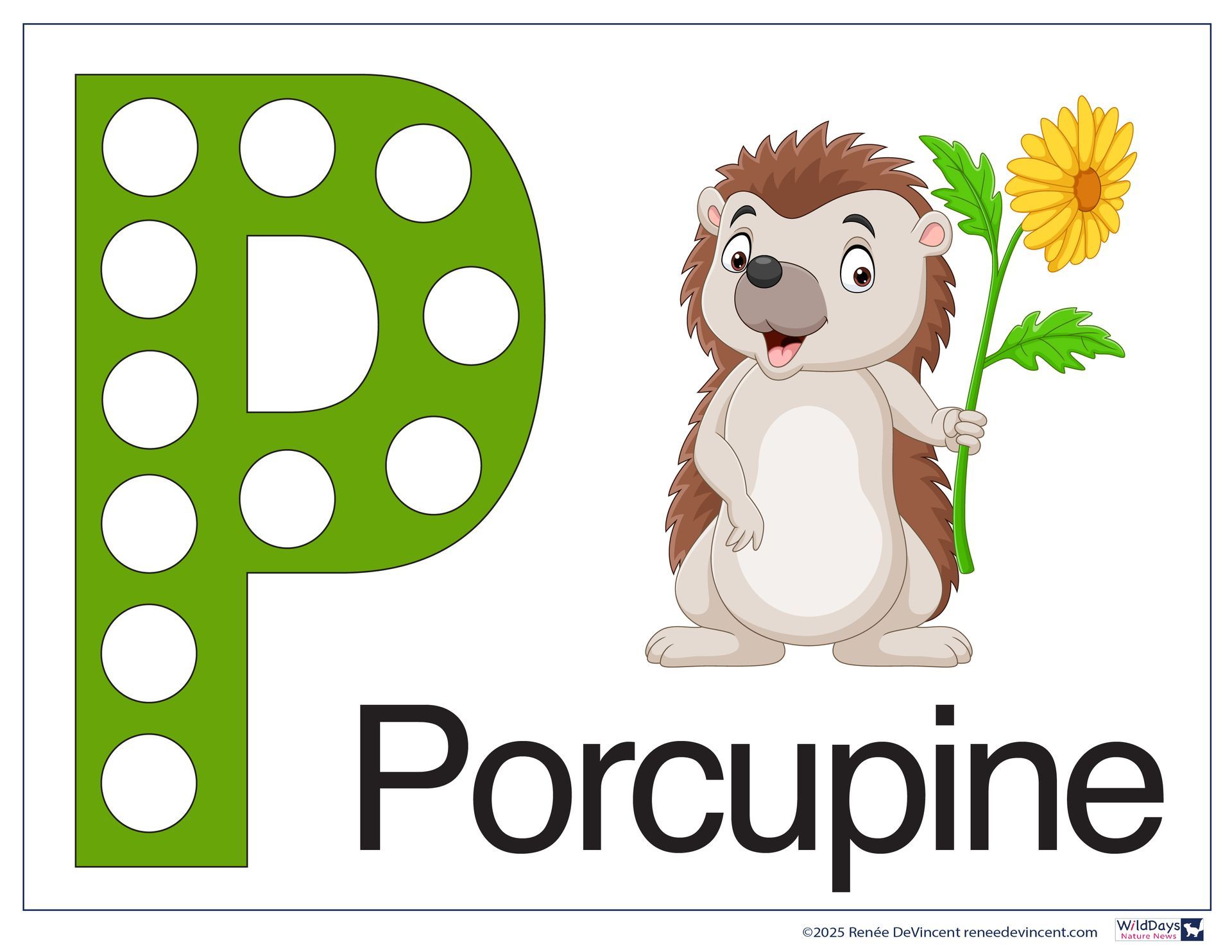 Green letter P with white dots and a cartoon porcupine holding a flower.