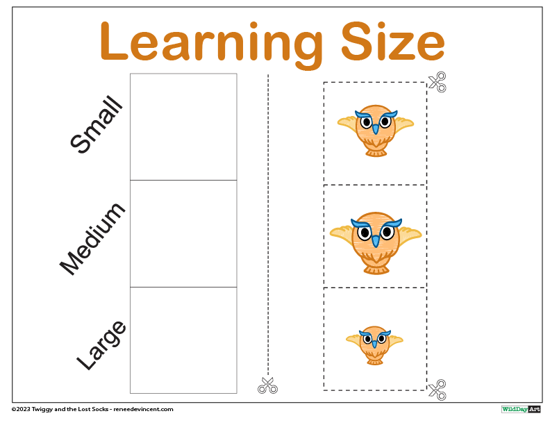 Worksheet sorting owls by size: small, medium, and large.