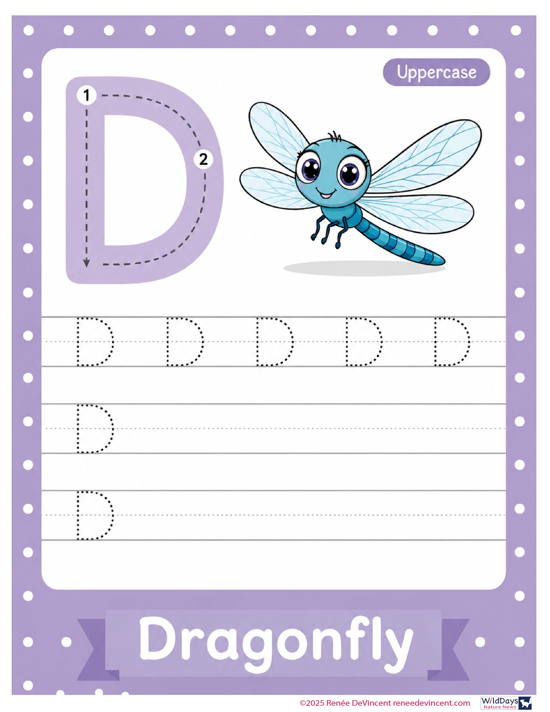 Purple worksheet for tracing the letter D with a blue dragonfly illustration and “Dragonfly” title.