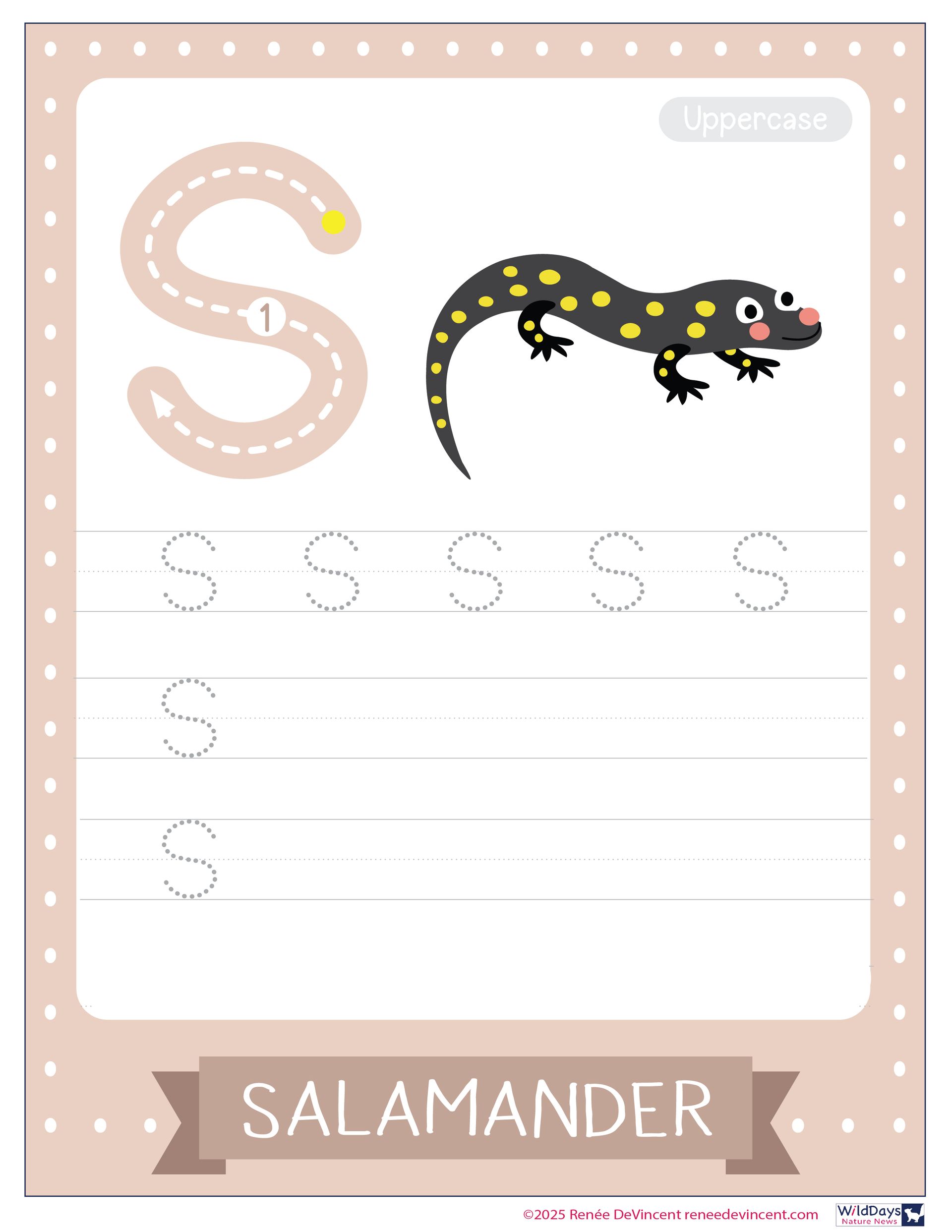 Tracing worksheet for the letter 