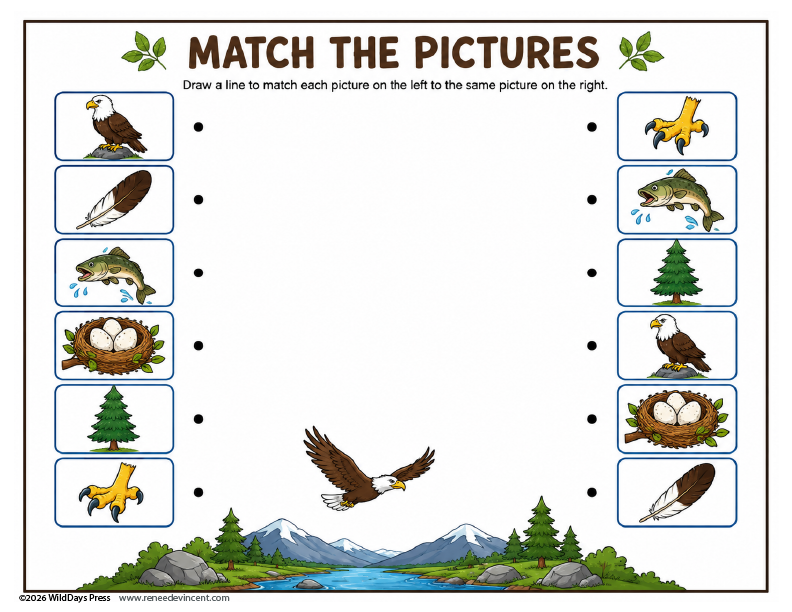 Matching worksheet with bird and nature icons in two columns, a hawk flying over mountains at the bottom.
