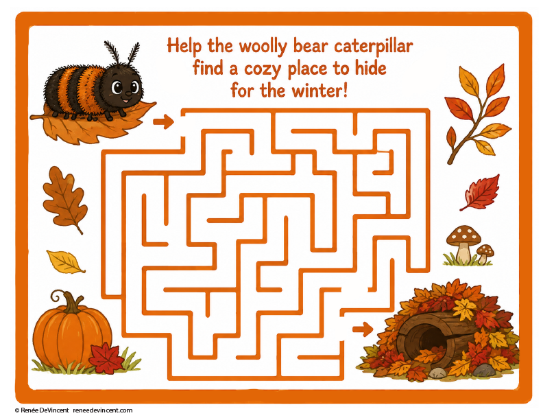 Autumn maze game with woolly bear caterpillar and pumpkins, asking to find a cozy winter hideout