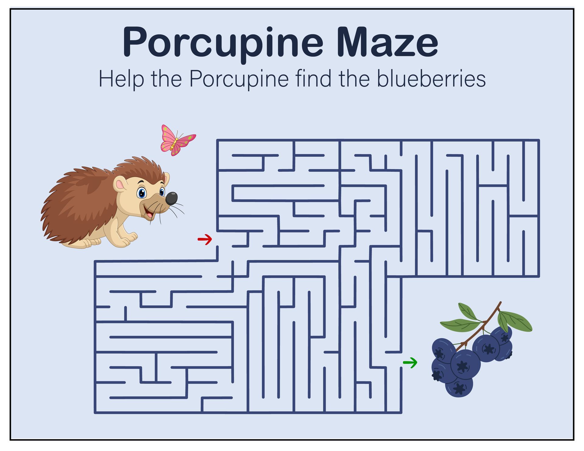 Porcupine maze. Help the porcupine find the blueberries.