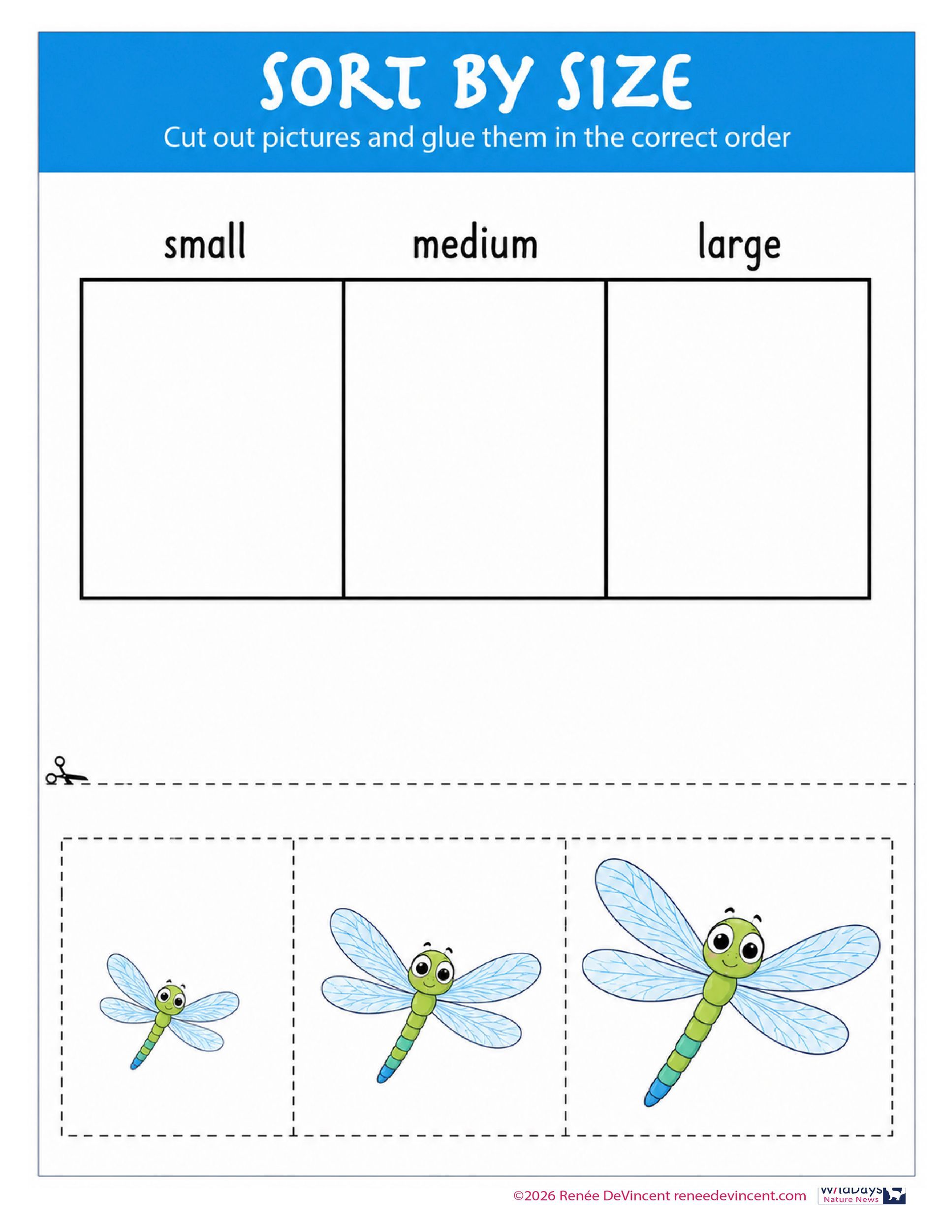 Sort-by-size worksheet with three labeled boxes and small, medium, large dragonflies below.