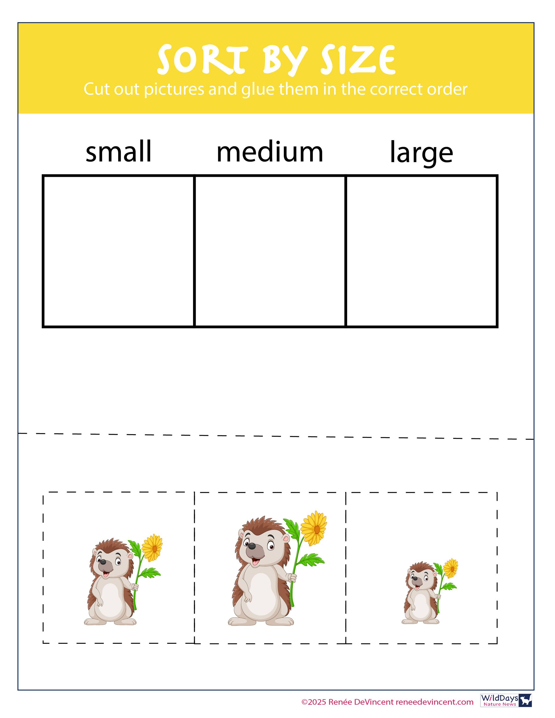 Worksheet: Sort by size (small, medium, large) with hedgehog illustrations.