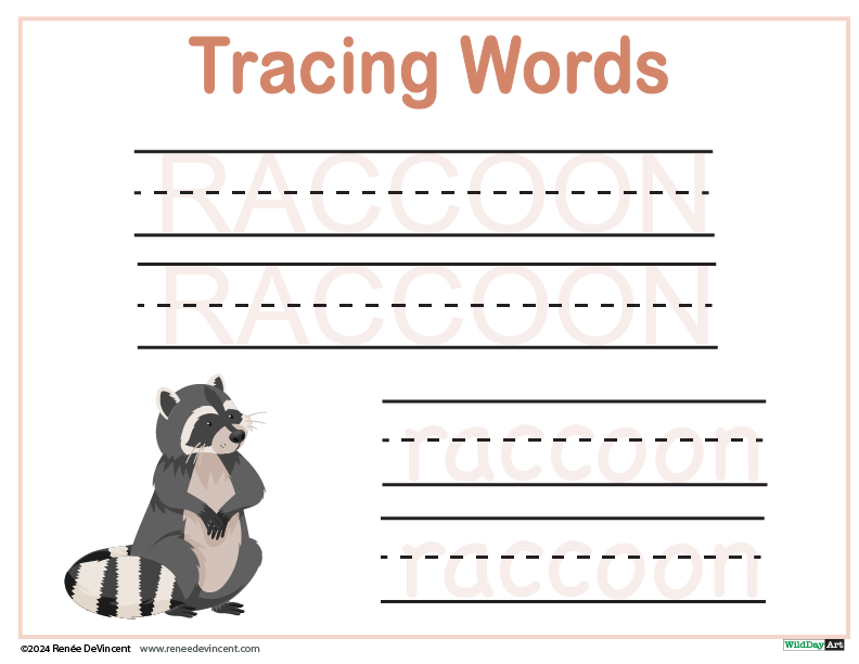 Tracing worksheet with raccoon illustration and dotted letters.