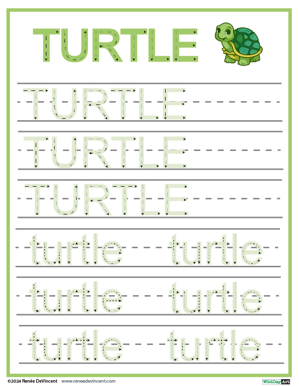 Handwriting practice sheet: uppercase and lowercase 