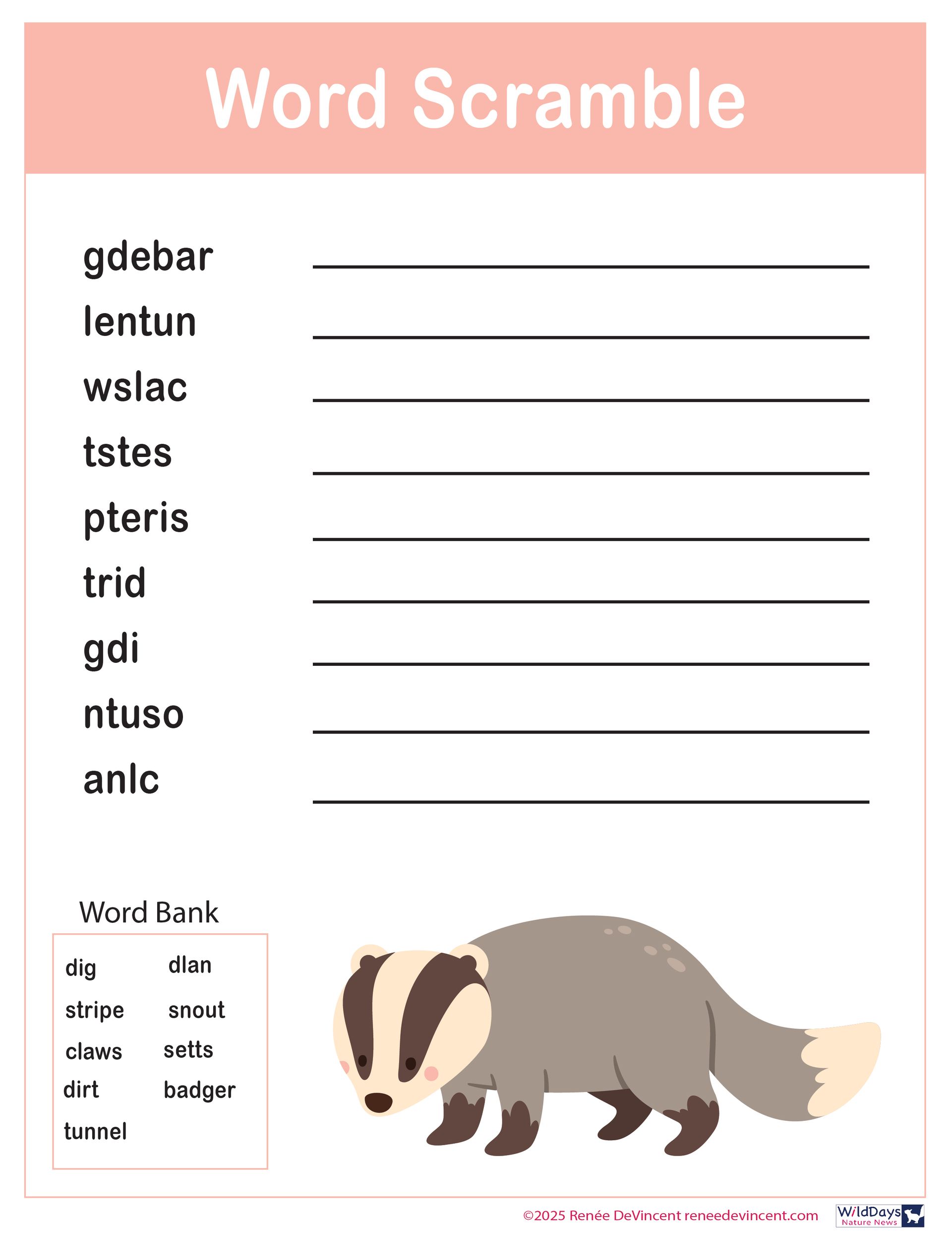 Word scramble puzzle featuring scrambled words and a badger illustration.