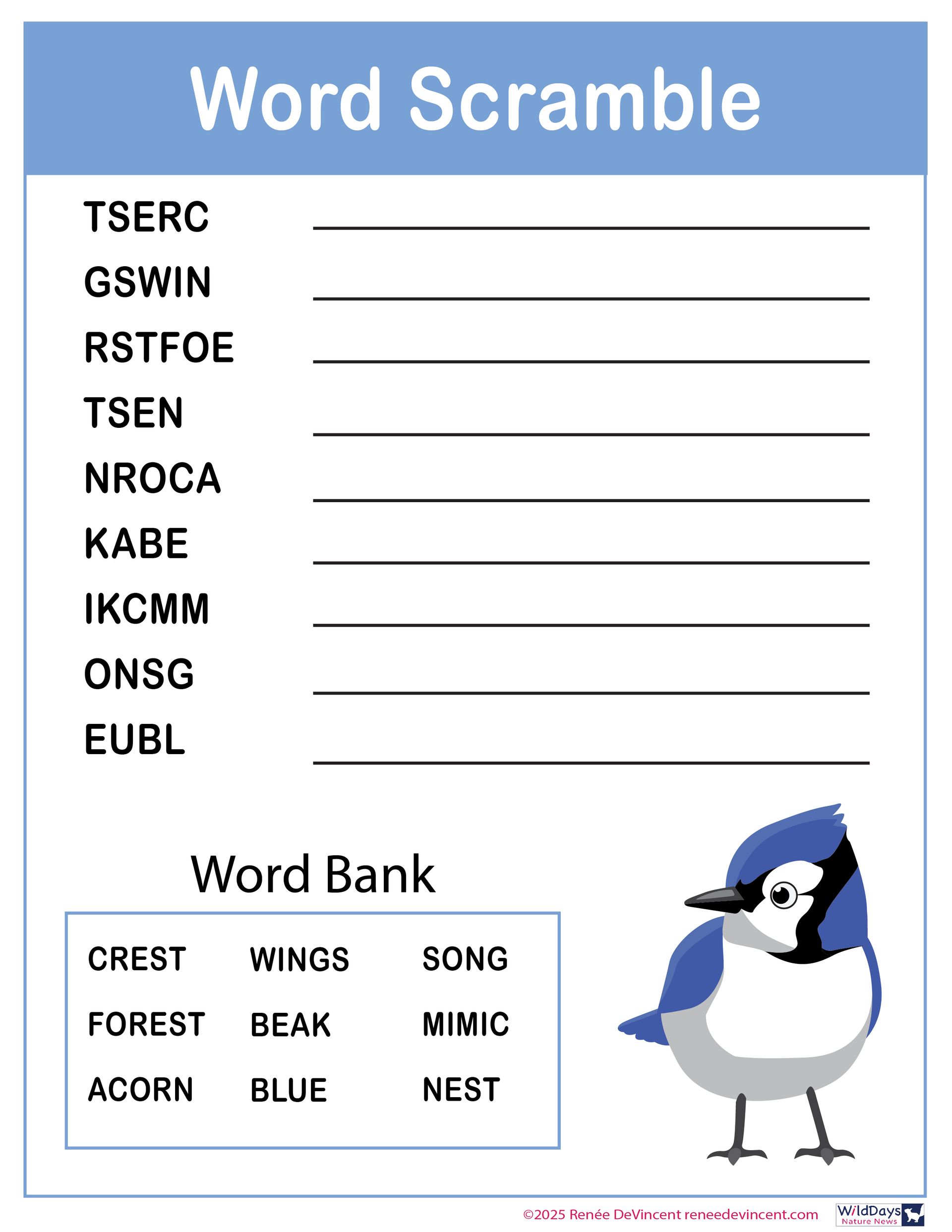 Word scramble puzzle with bird illustration. Includes word bank and scrambled words to unscramble.