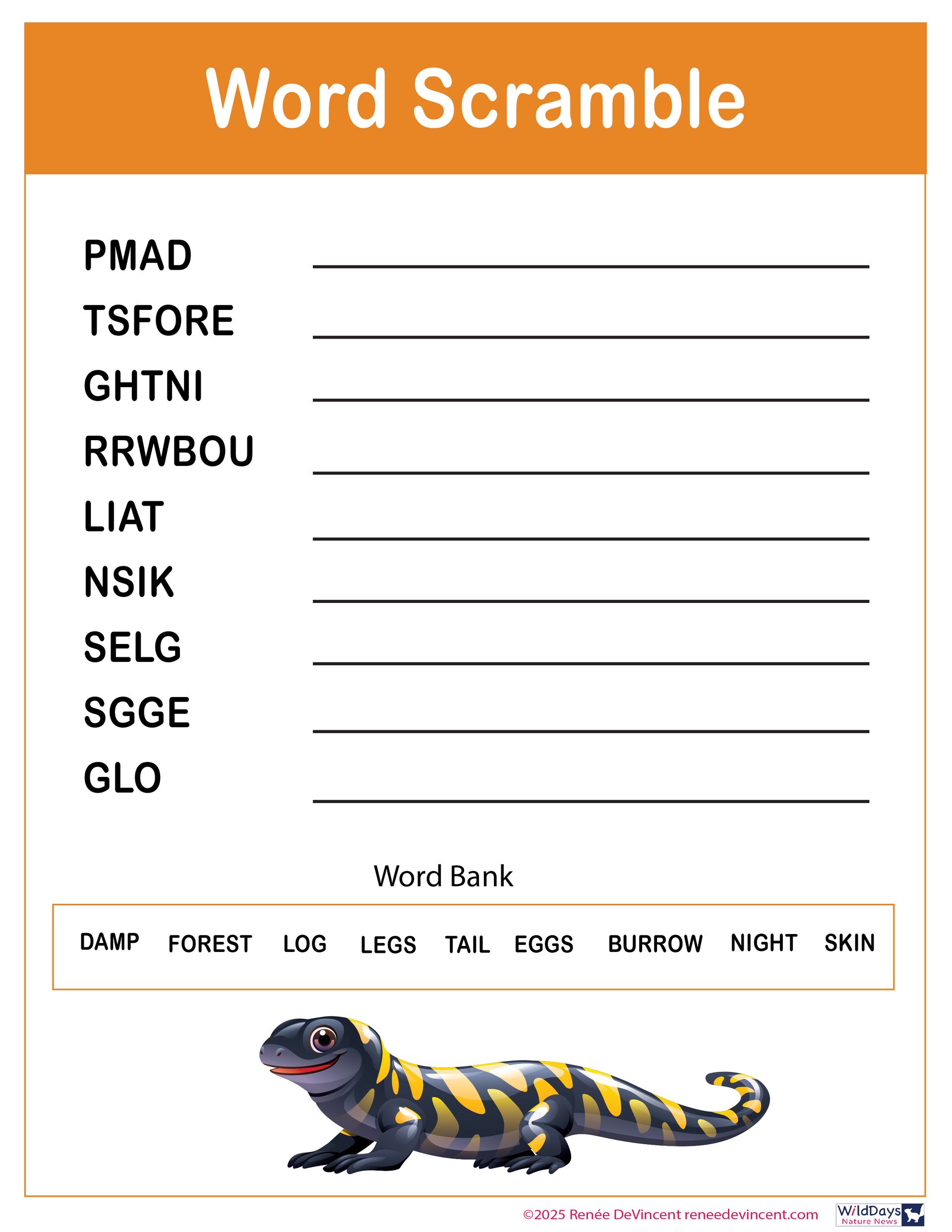 Word scramble puzzle with word bank, picture of a salamander.