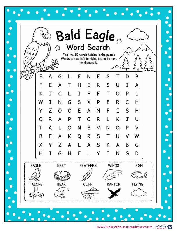 Bald eagle word-search worksheet with mountain scene, blue border, and labeled bird facts.