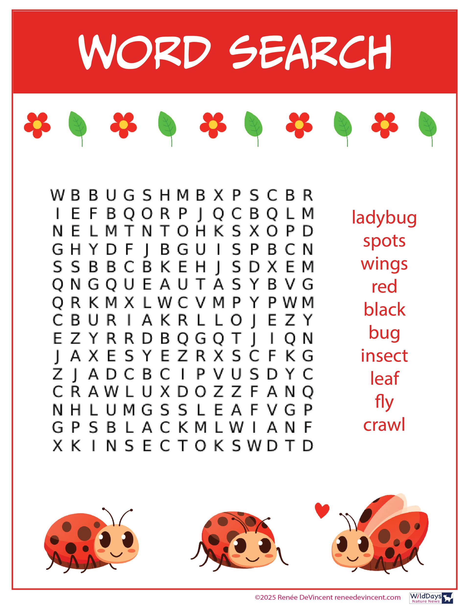 Word search puzzle with ladybug theme; red background, list of words to find.