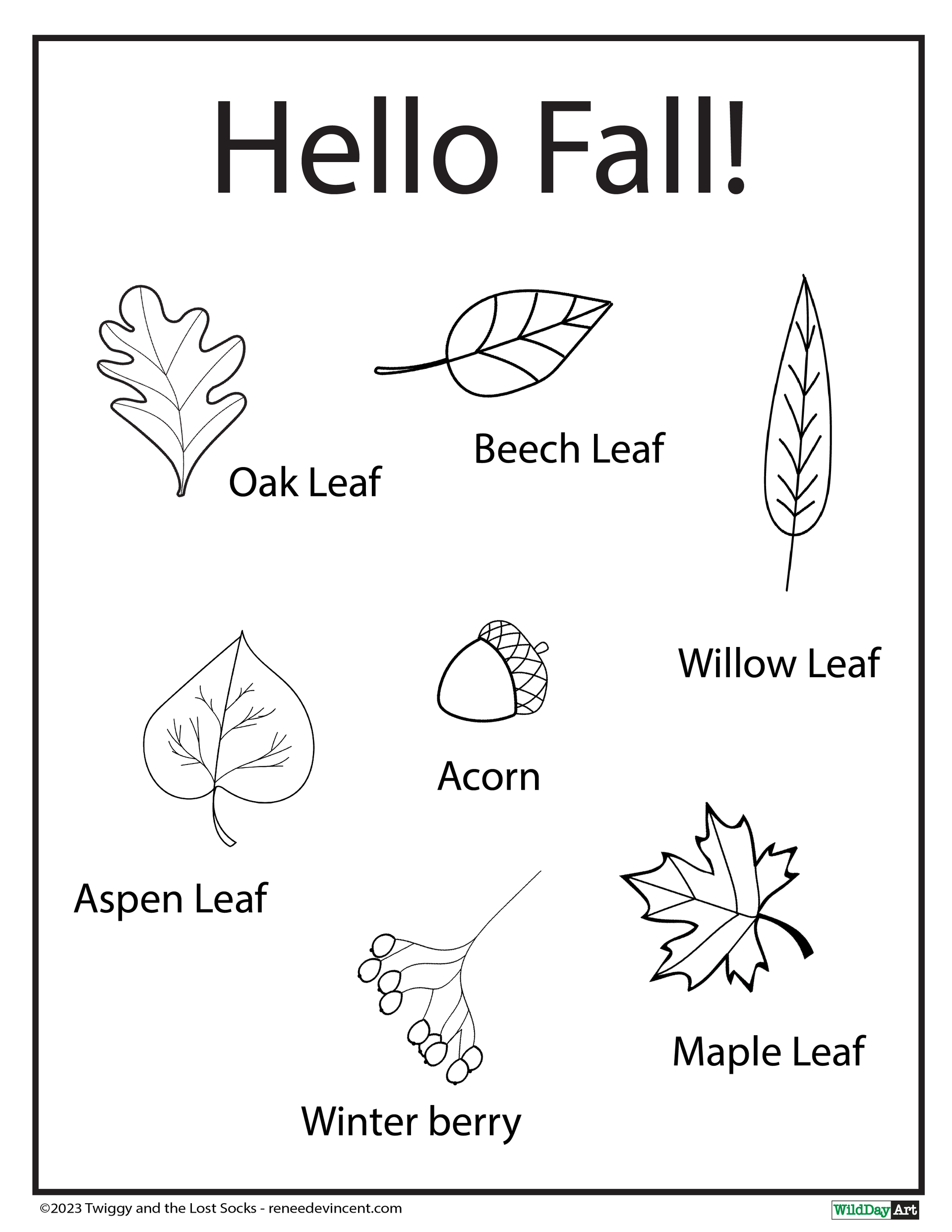 Black and white coloring page: outlines of various leaves and an acorn, labeled 