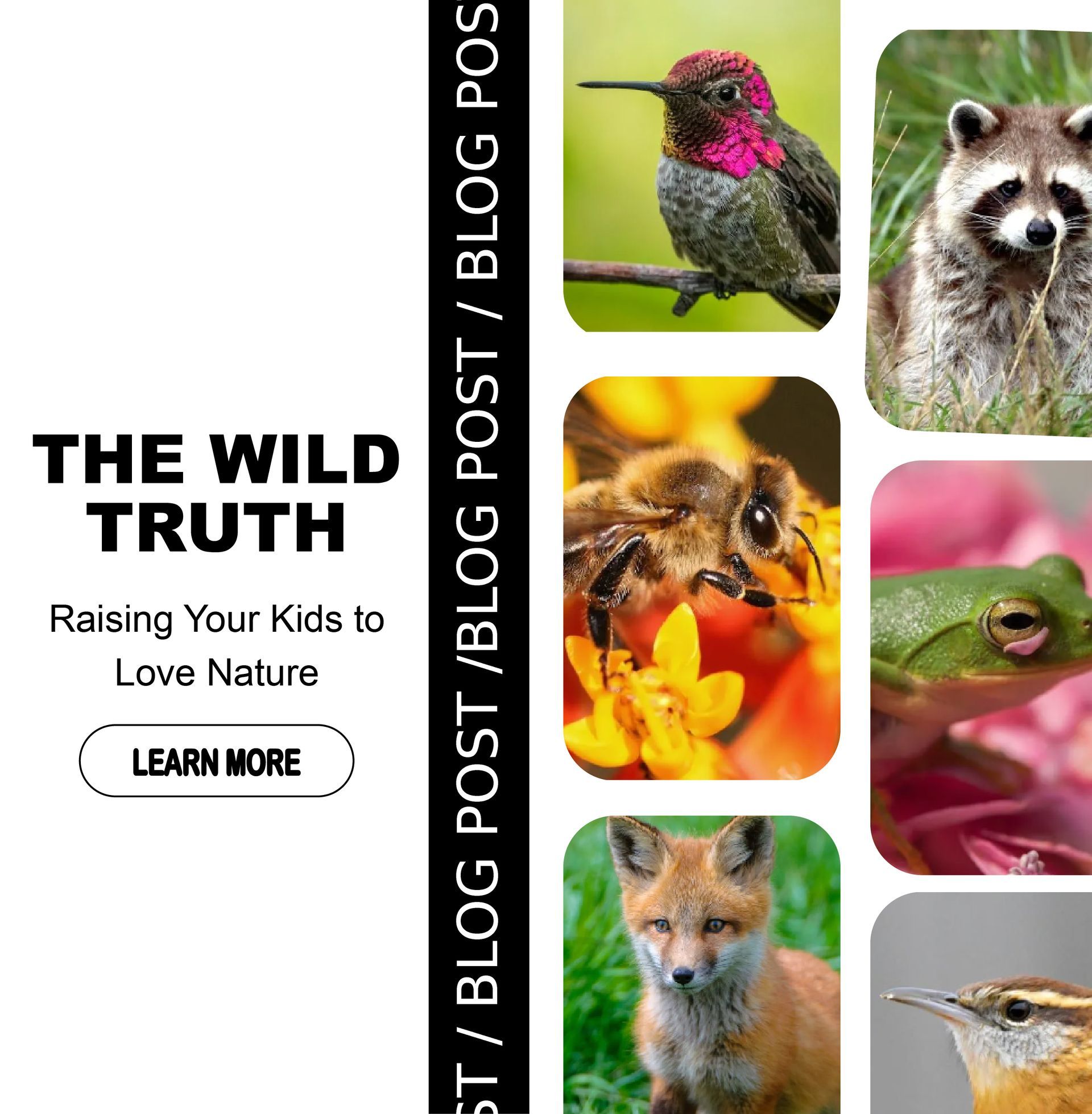 Blog post banner: 