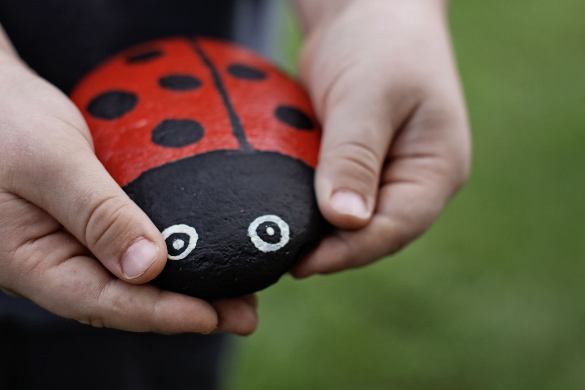 Child's hands holding a painted rock shaped like a ladybug with red wings and black head.