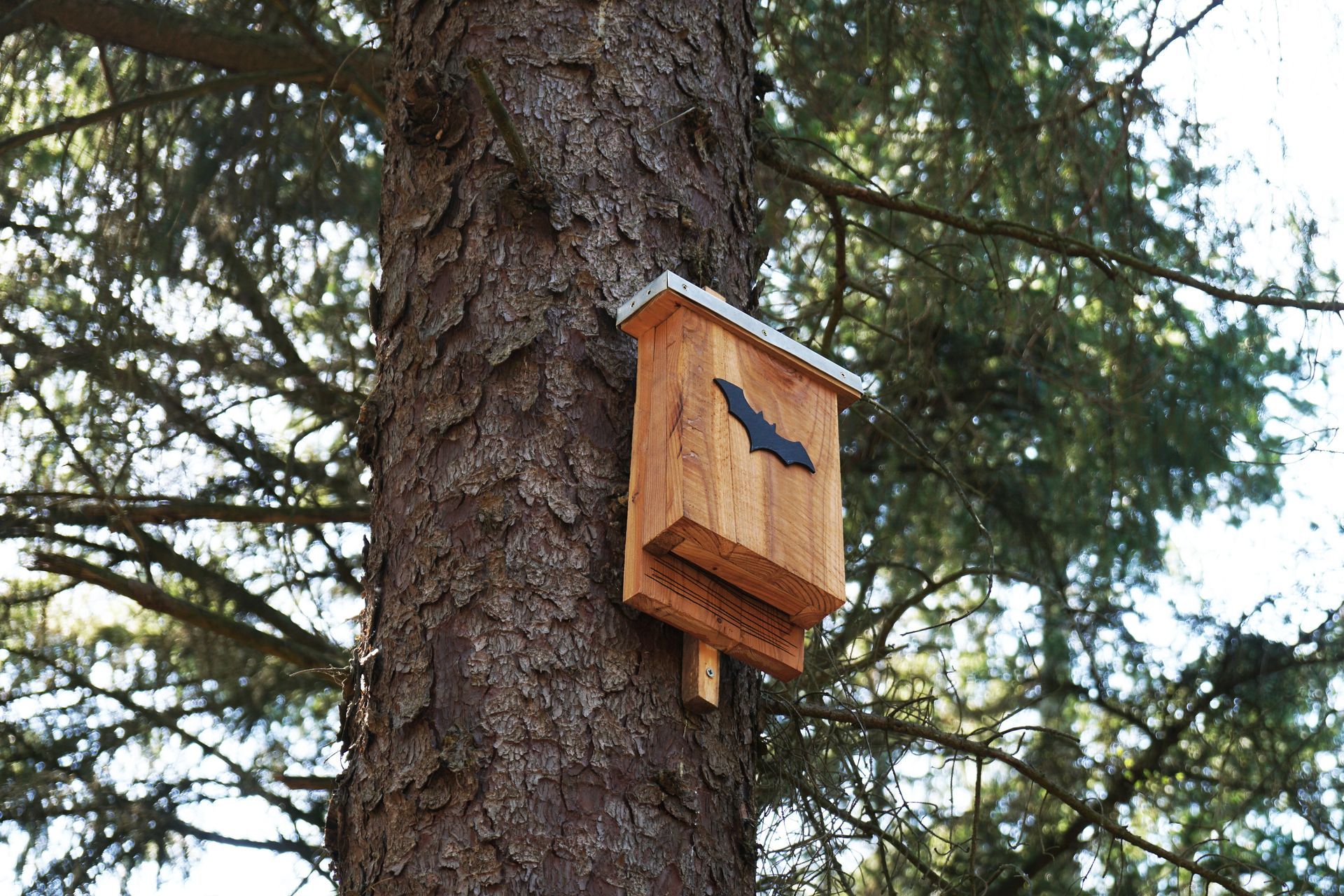 Wooden bat house attached to a tree trunk; dark bat silhouette on front.