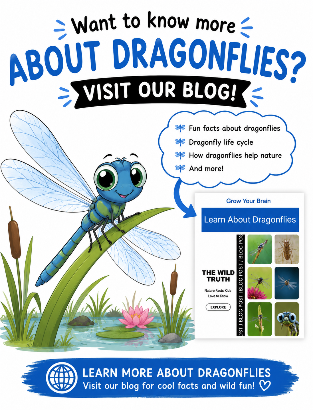 Dragonfly-themed blog poster with cartoon dragonfly, pond plants, and text promoting facts and free resources.