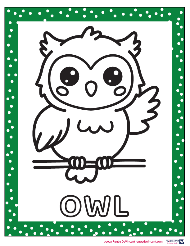 Cute cartoon owl on a branch, outlined in black with a green dotted border and the word 