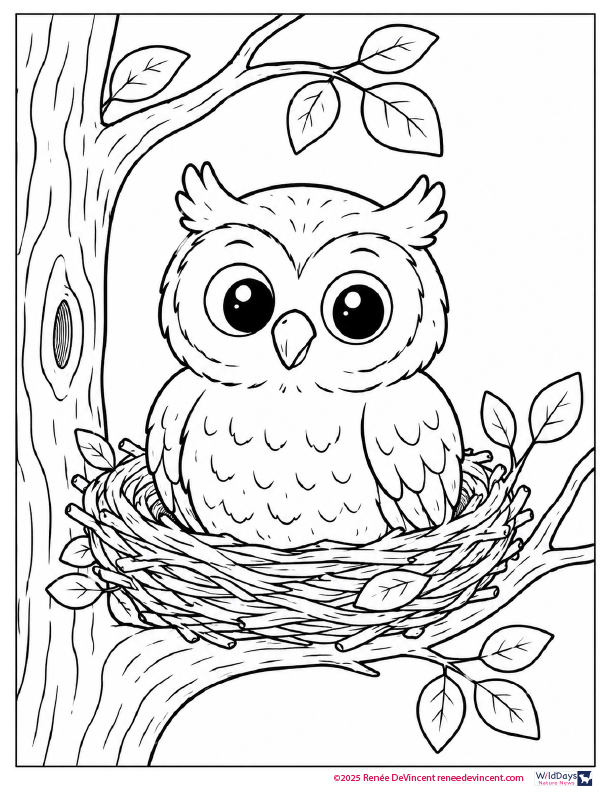 Cute cartoon owl sitting in a nest on a tree branch, black-and-white coloring page style