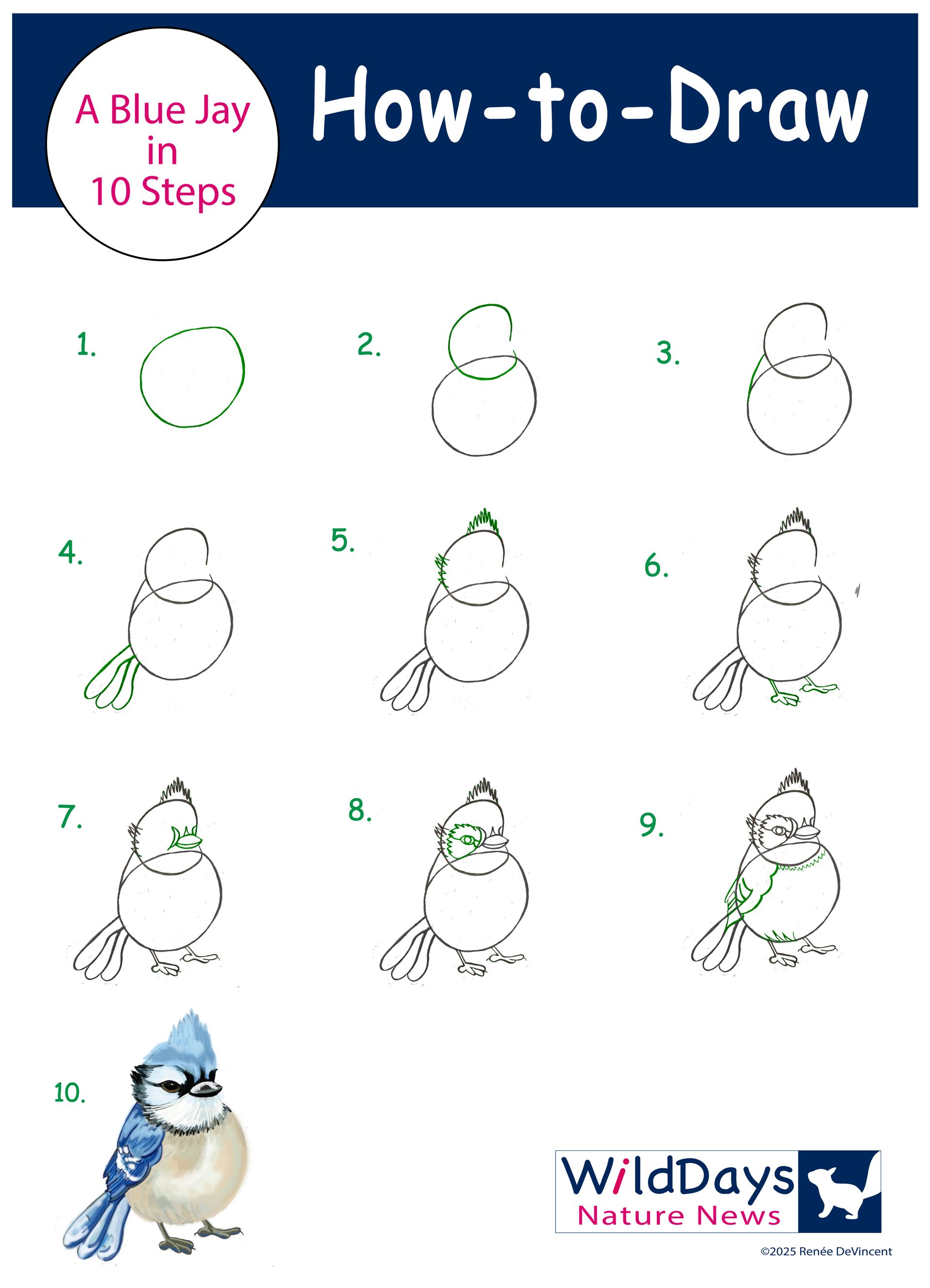 A 10-step 