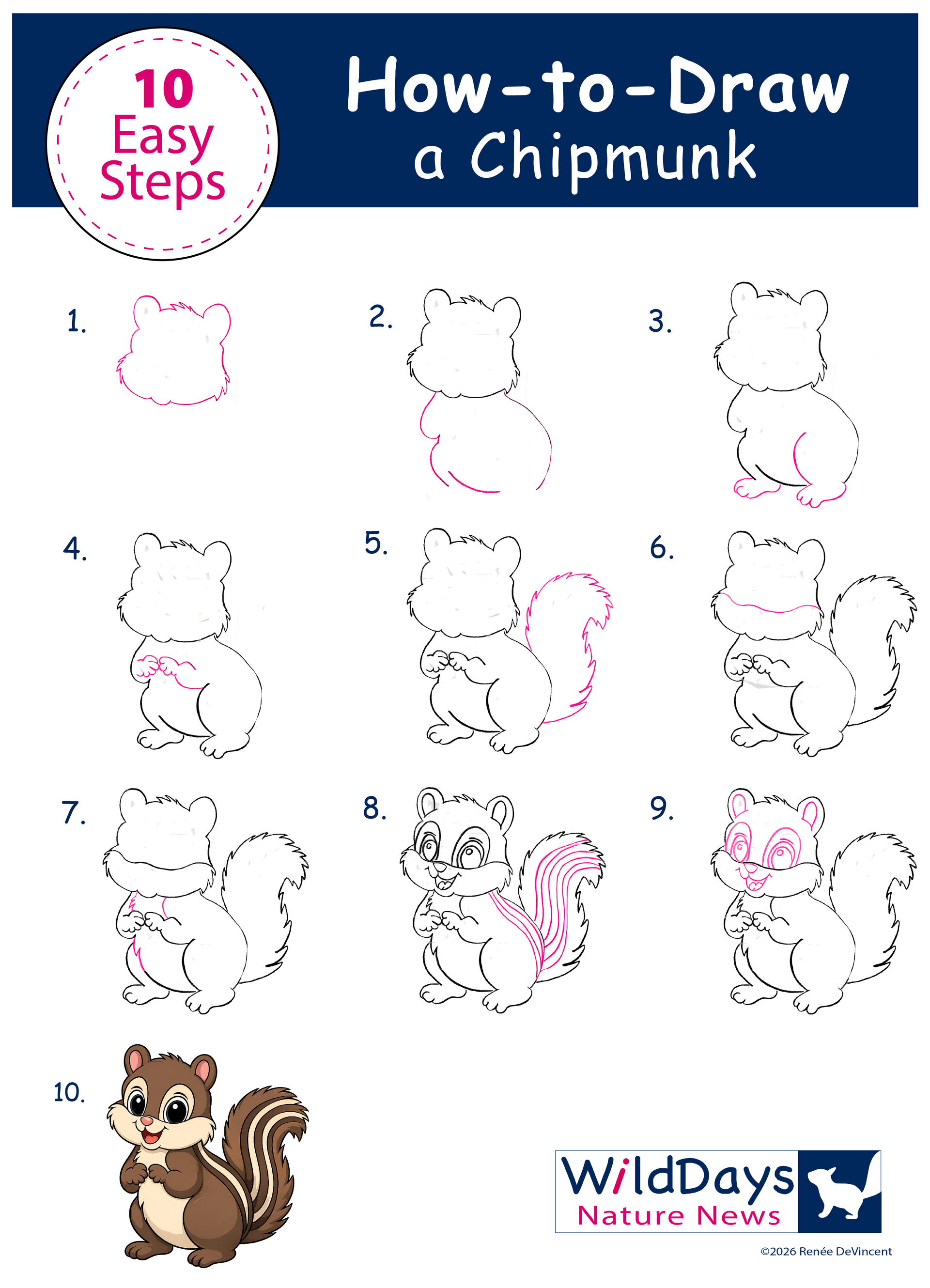 10-step chipmunk drawing tutorial with numbered sketch stages and a finished chipmunk illustration