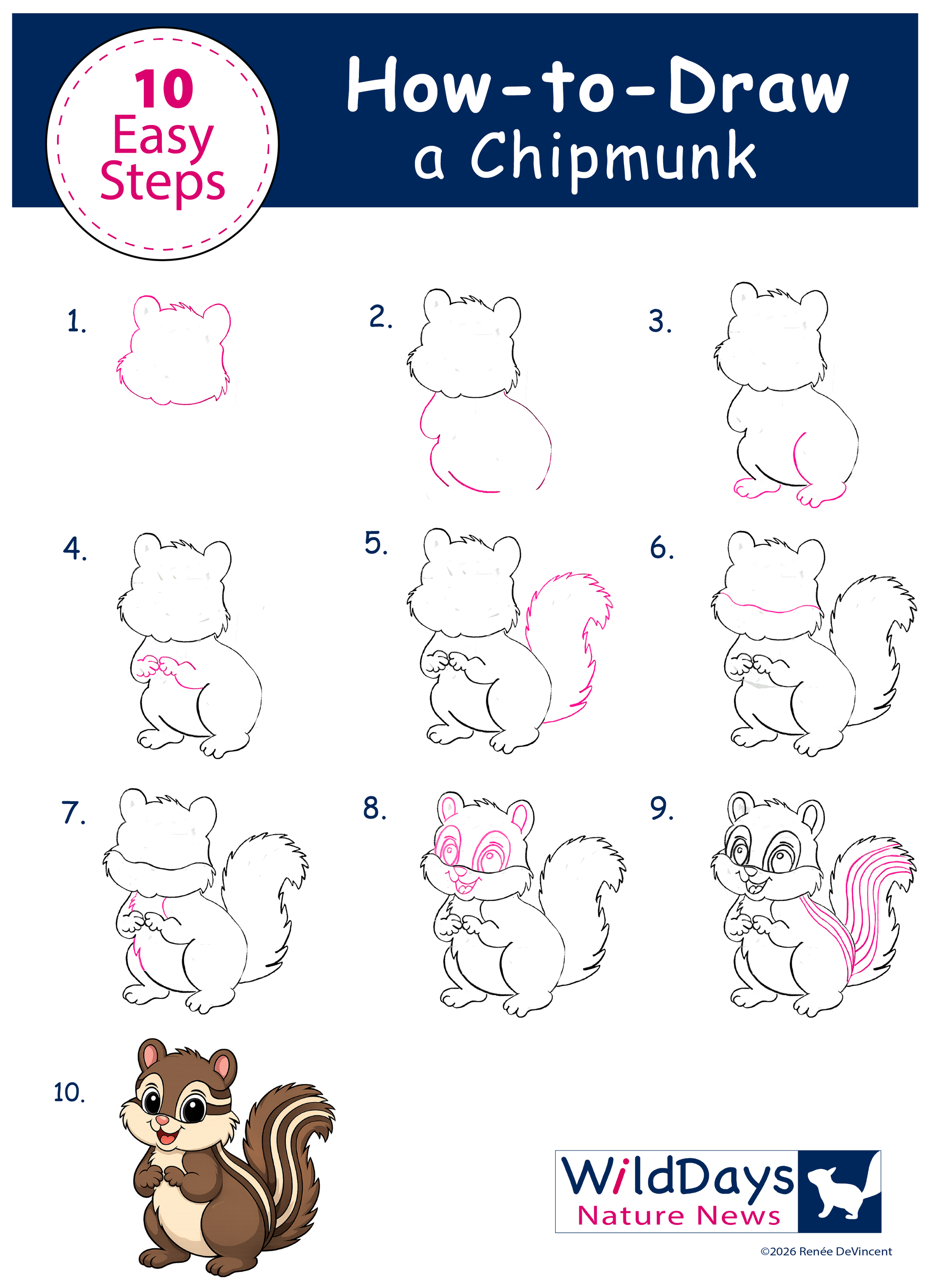 10-step chipmunk drawing tutorial with sketch stages and a finished chipmunk illustration