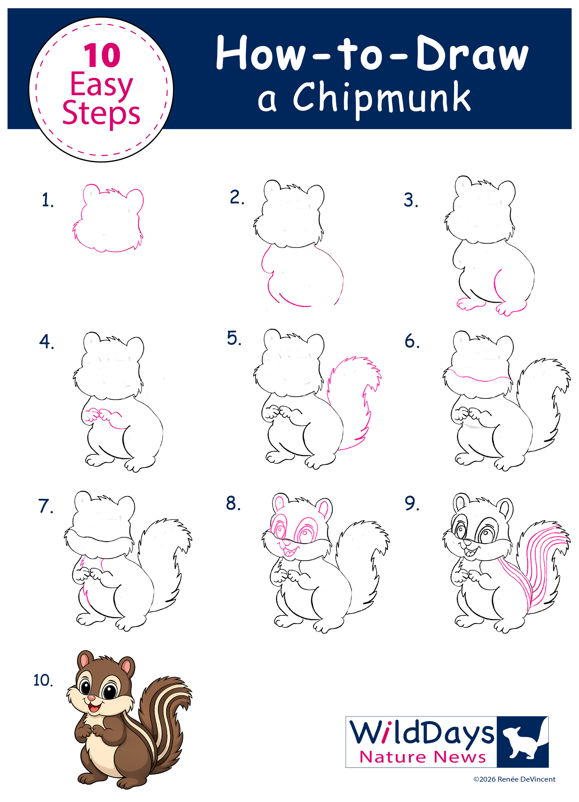 10-step chipmunk drawing tutorial with sketch stages and a finished chipmunk illustration