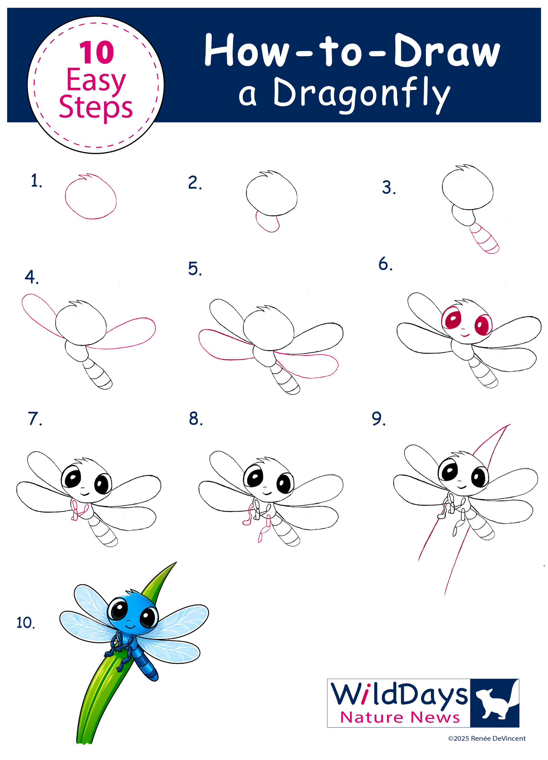 10-step tutorial showing how to draw a dragonfly, with progressive sketches and a blue-green finished dragonfly