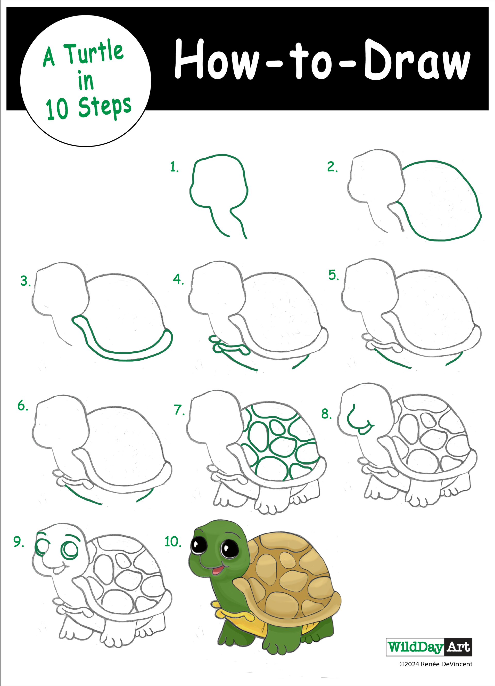 How-to-draw a turtle in 10 steps. Green turtle, tan shell, illustrated on a white background.