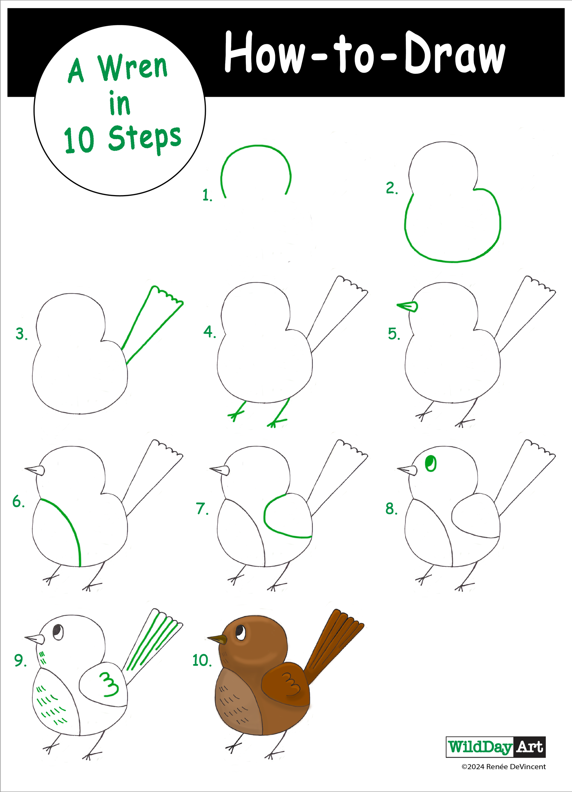 How to draw a wren in 10 steps. Illustrated guide with shapes, then a brown bird.