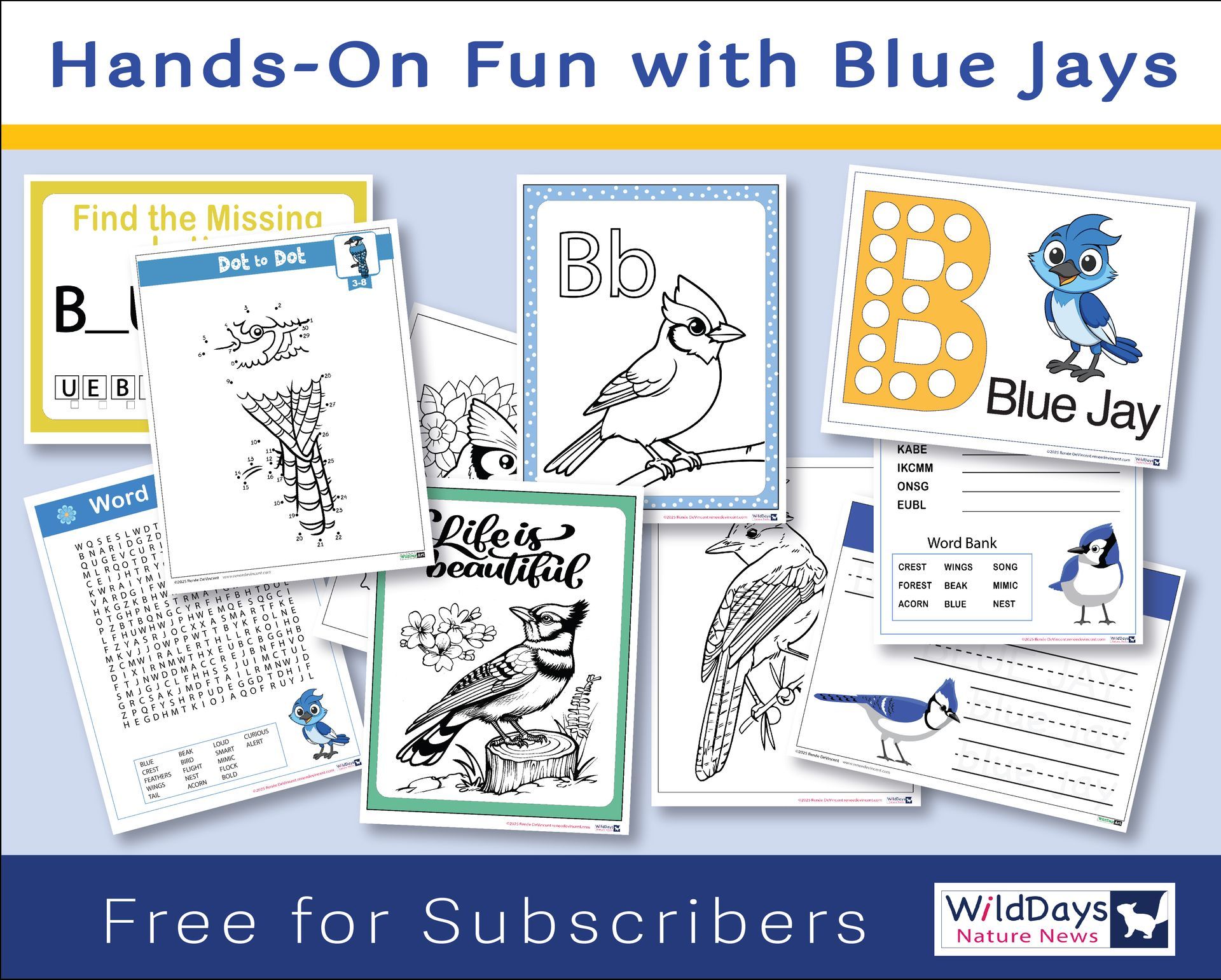 Free educational materials: Bluejay printable worksheets, coloring pages, flashcards.