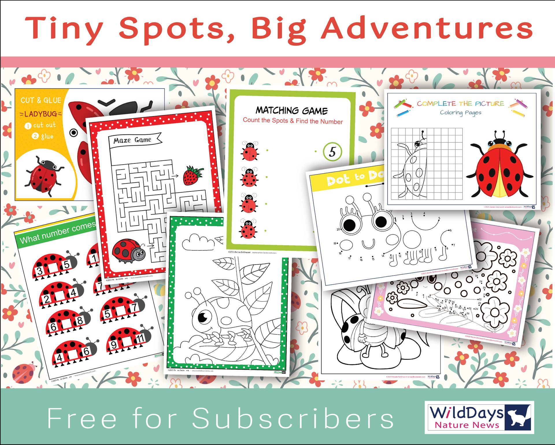 ladybug-themed printable activity sheets. Includes mazes, matching games, and coloring pages.